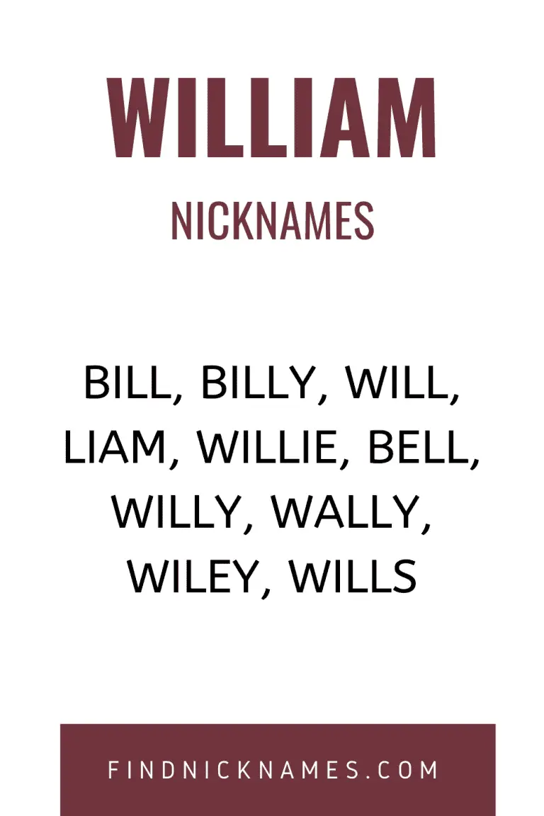 70-popular-nicknames-for-william-find-nicknames