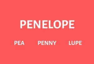 Nicknames for Penelope