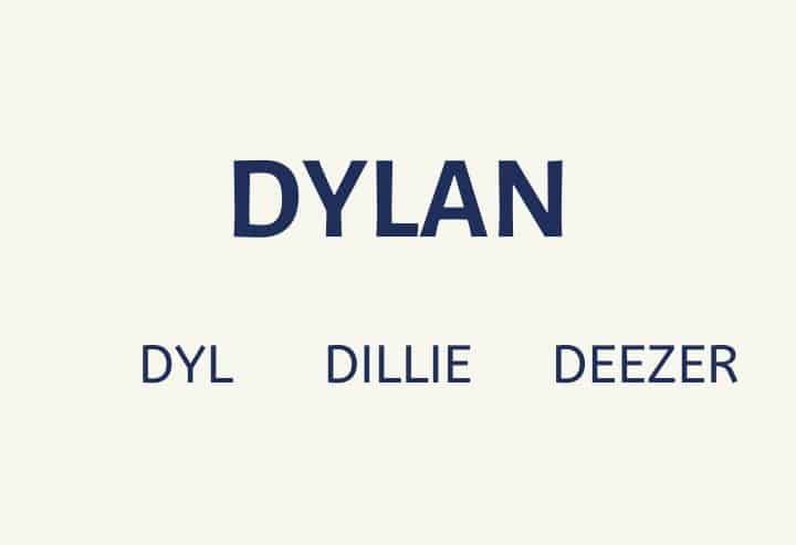 I was looking for meaning on some names and came across Dylan's name lol :  r/YoTroublemakers