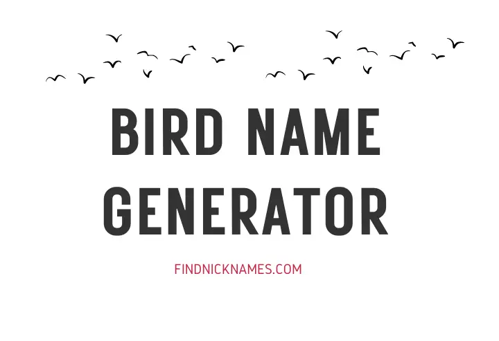 Bird Nickname Generator