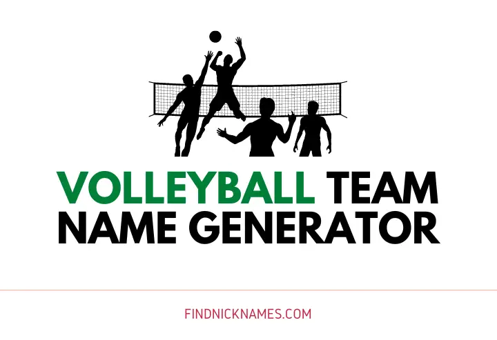 Volleyball Team Name Generator