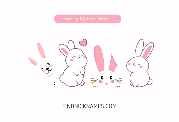 Bunny Name Generator