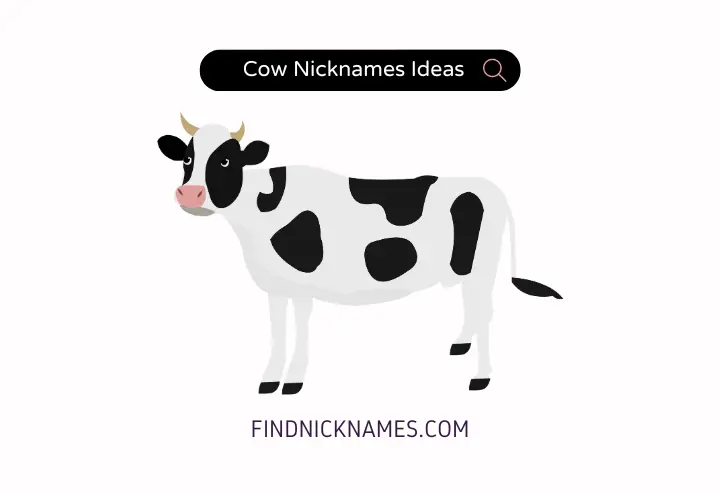 Cow Nicknames Generator