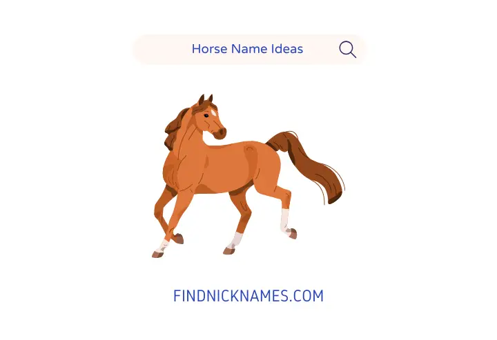 Horse Name Generator